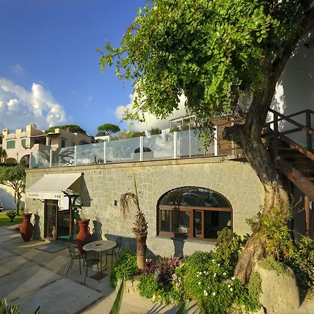 Guest house In Bb - Forio With A Breathtaking View, For 2people