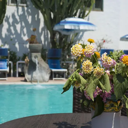 In Bb - Forio With A Breathtaking View, For 2people *